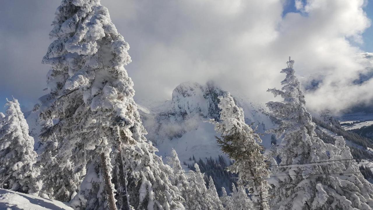 Alpenchalet Vils Tirol 外观 照片